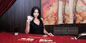 Anadolu Casino Canlı Destek