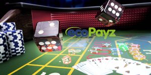 Ecopayz ile Ödeme İşlemlerine Son